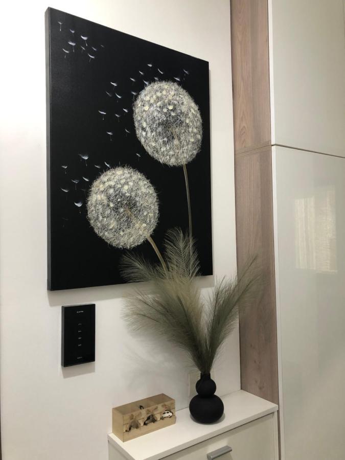 MIIO Studio Năvodari Esterno foto